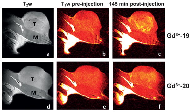 Figure 21