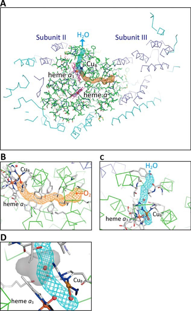 Figure 9.