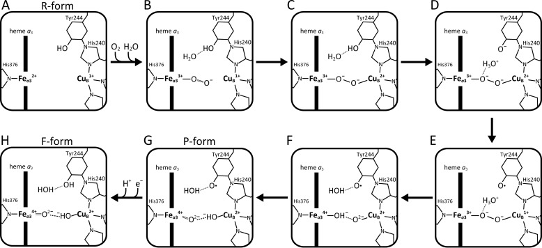 Figure 10.