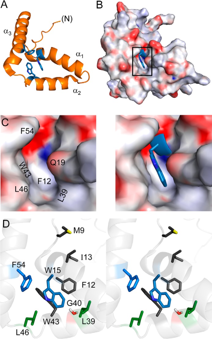 FIGURE 2.