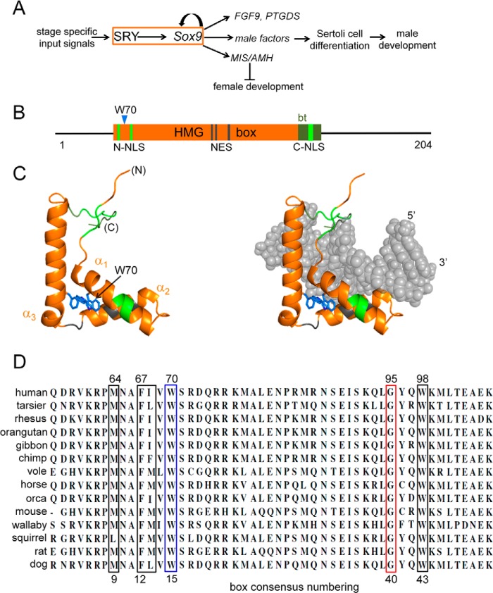 FIGURE 1.