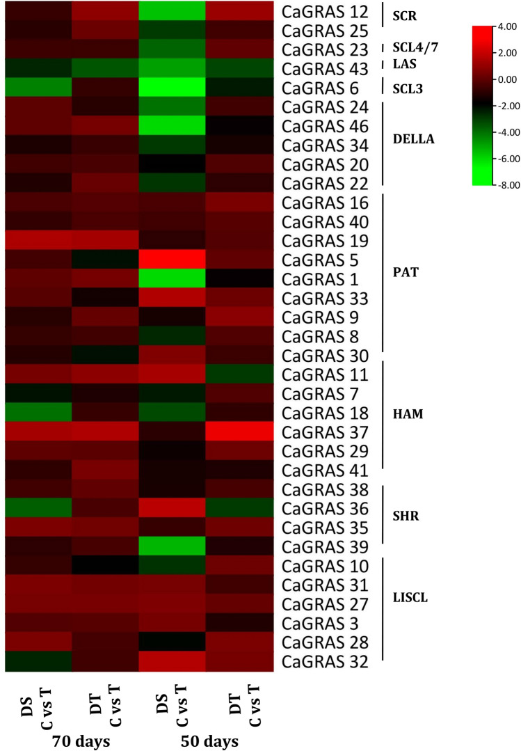 Fig. 12