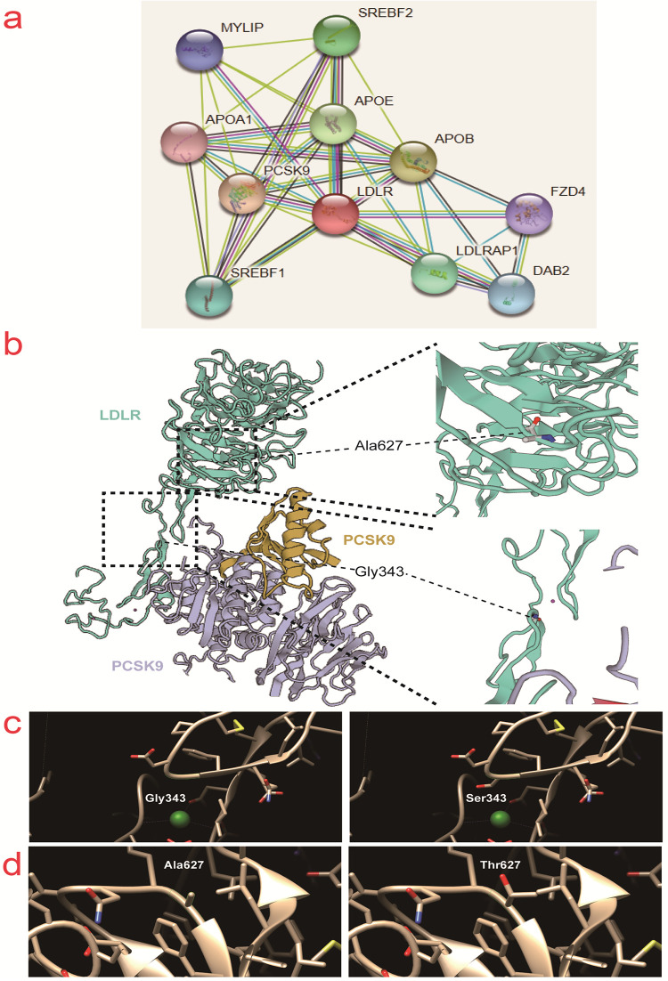 Fig 5