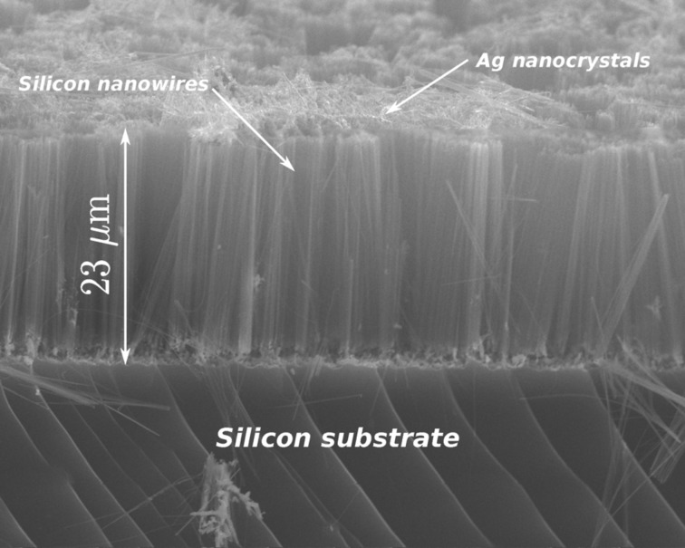 Figure 15