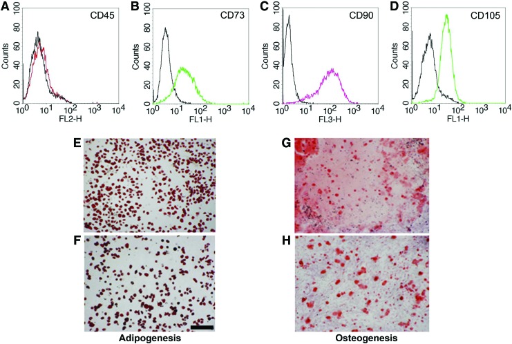 FIG. 2.