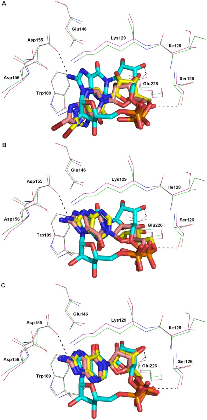 Figure 13