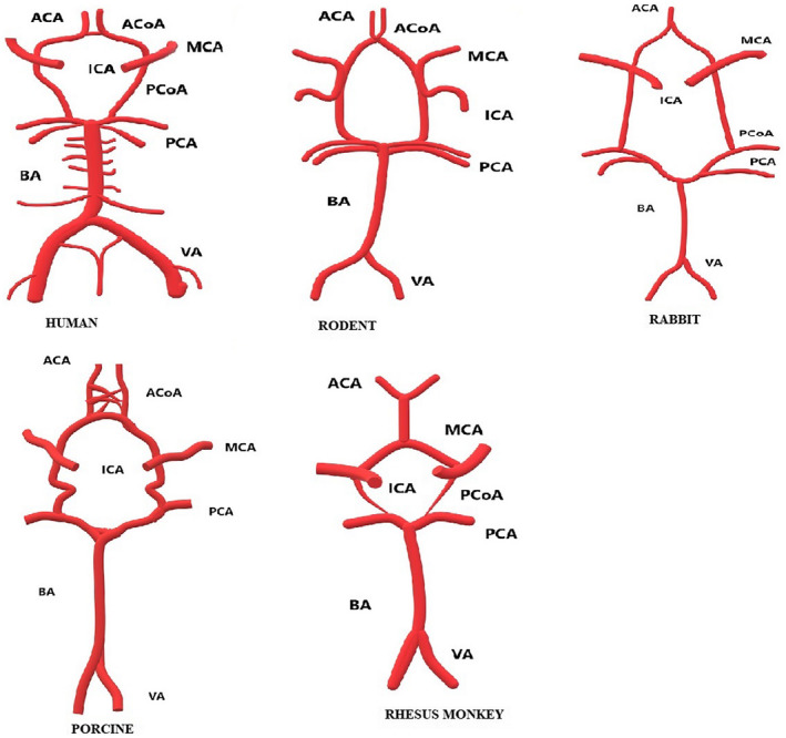 FIGURE 1