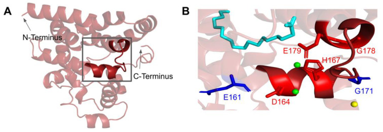 Figure 11