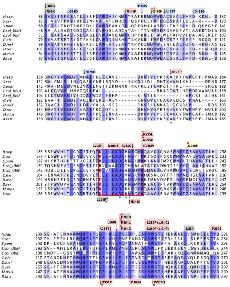 Figure 19