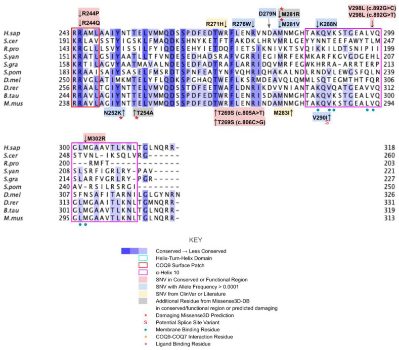 Figure 28