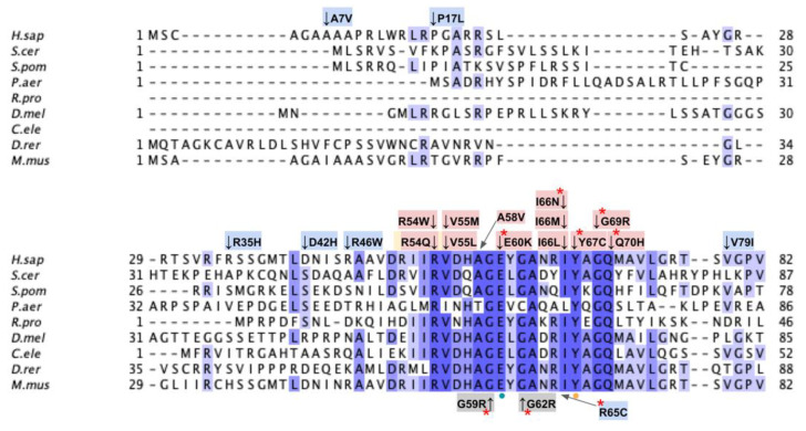 Figure 24