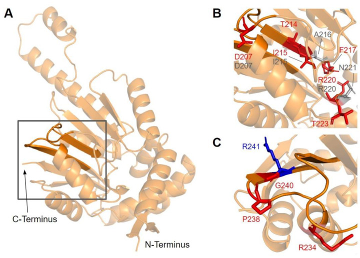 Figure 16