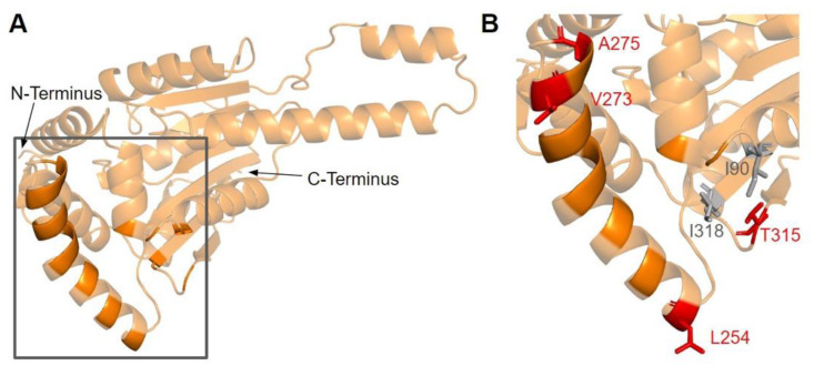 Figure 17