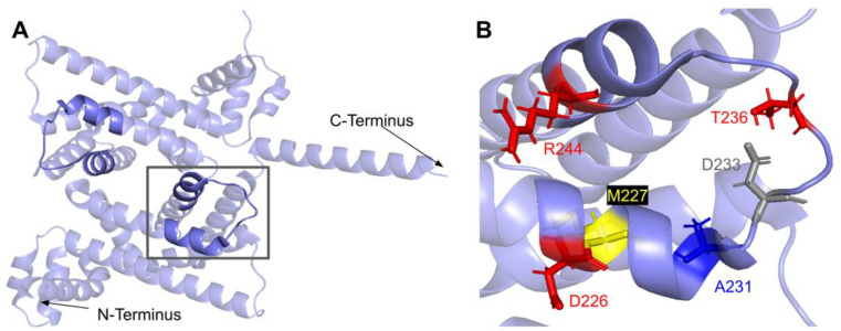 Figure 31