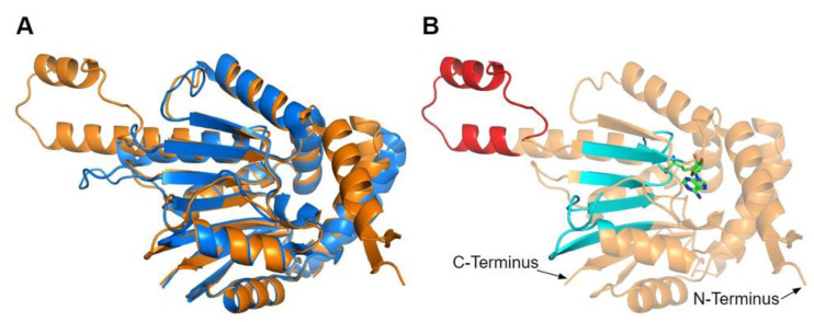 Figure 14