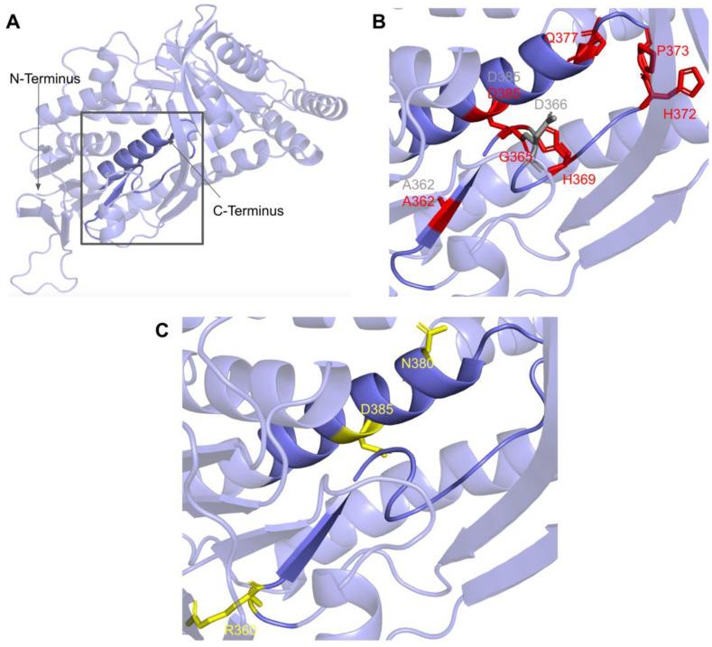 Figure 23