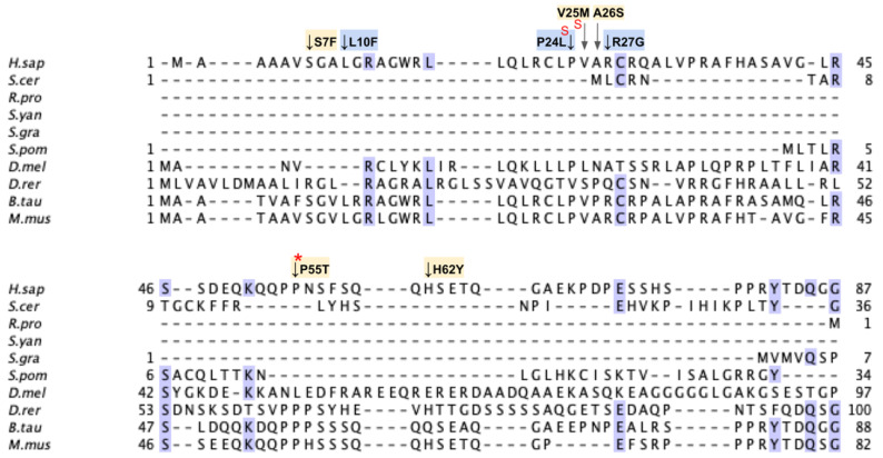 Figure 28