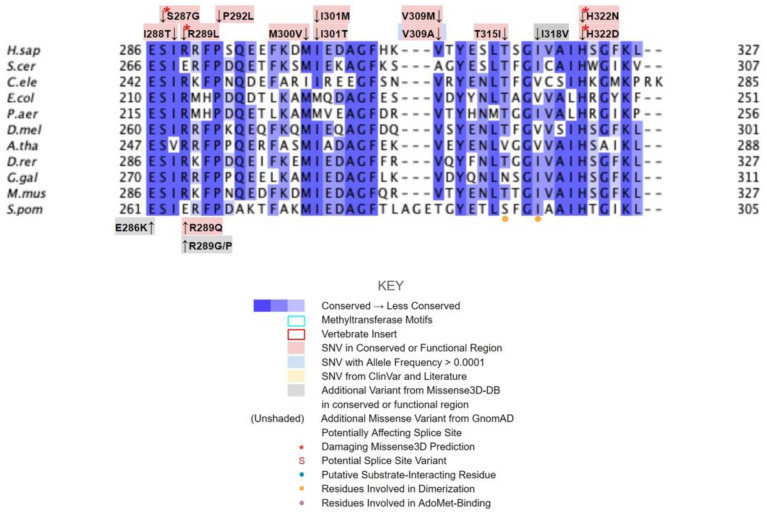 Figure 12