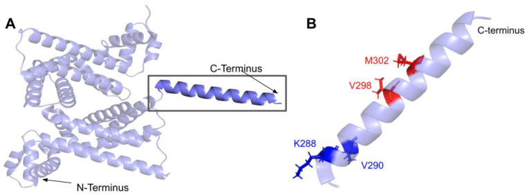 Figure 32