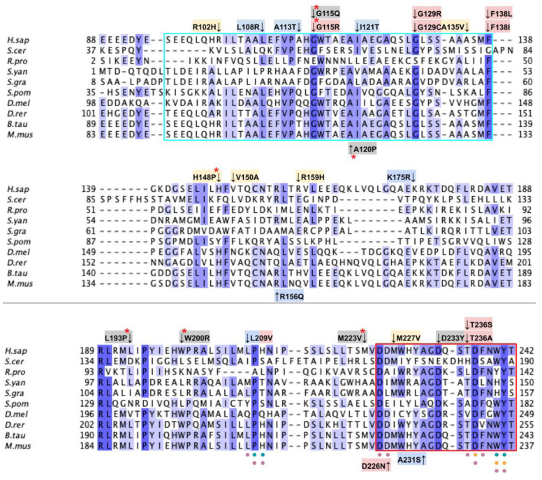 Figure 28