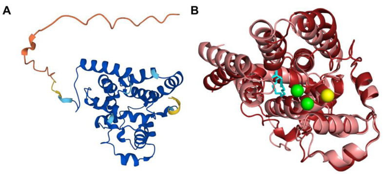 Figure 10