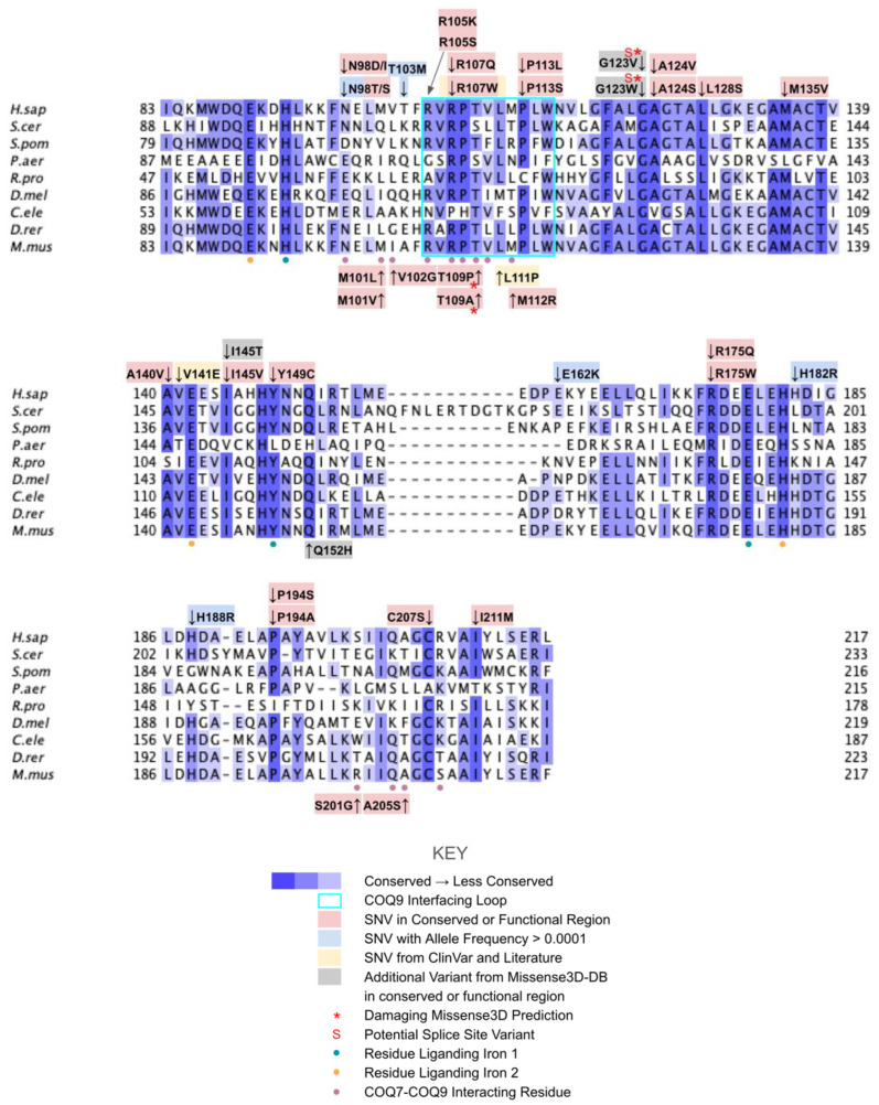 Figure 24