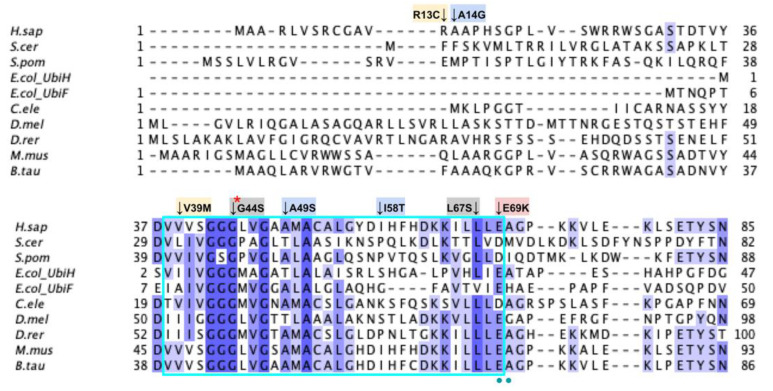 Figure 19