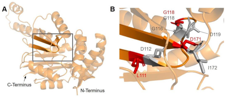 Figure 15