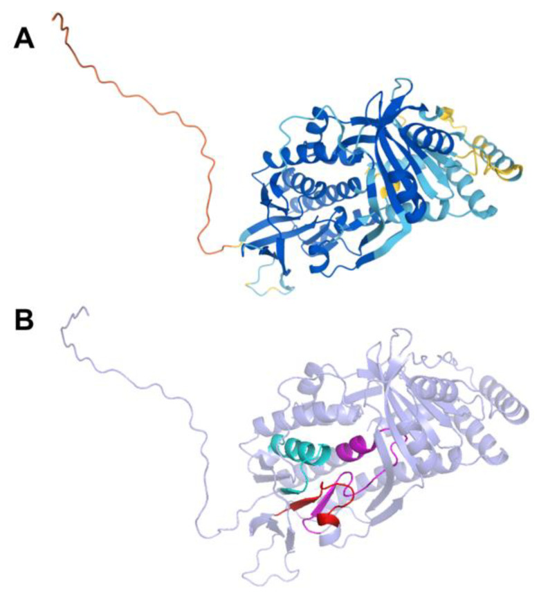 Figure 20