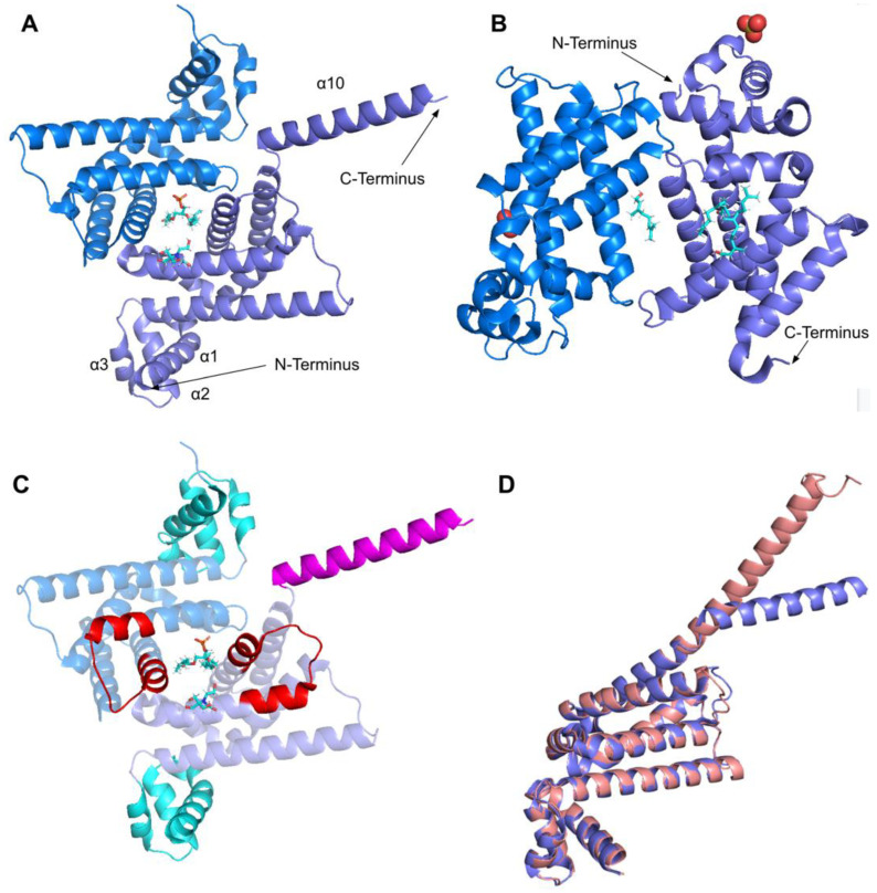 Figure 29