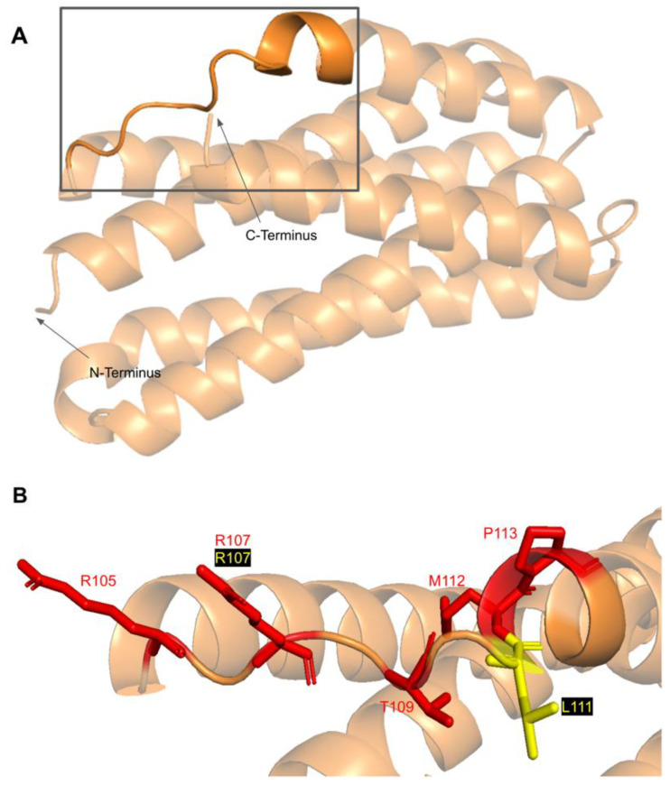 Figure 26