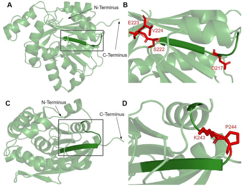 Figure 7