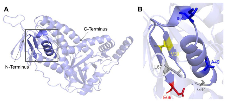 Figure 21