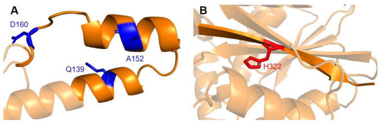 Figure 18