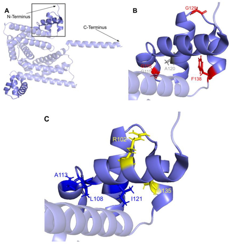 Figure 30