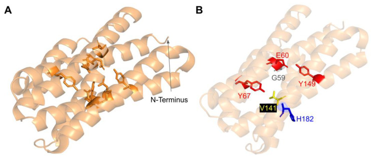 Figure 27