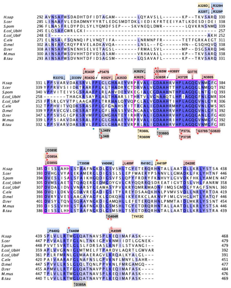 Figure 19