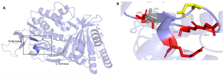 Figure 22