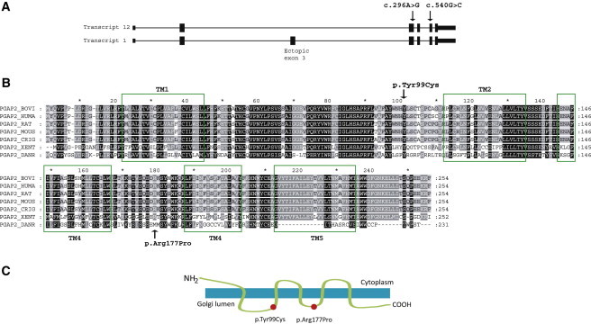 Figure 2