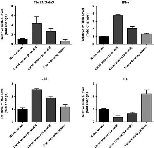 FIGURE 4