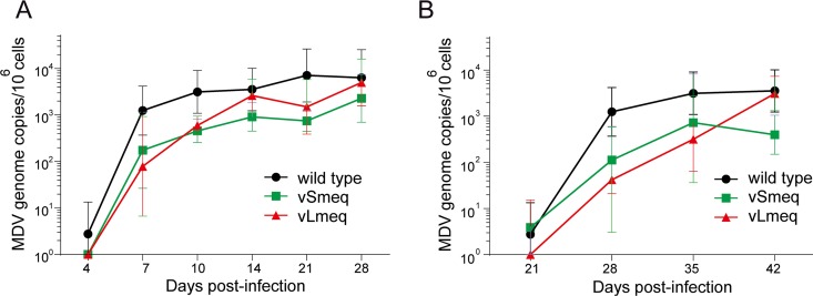 FIG 2