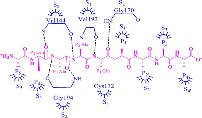 Figure 6