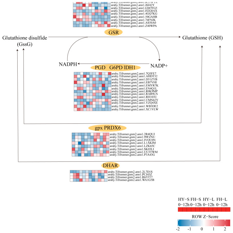 Figure 15