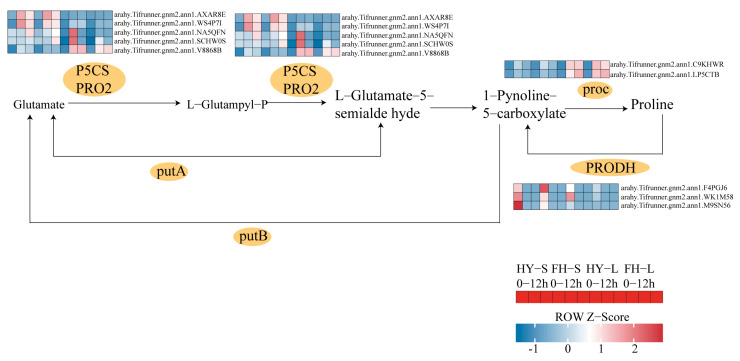 Figure 13