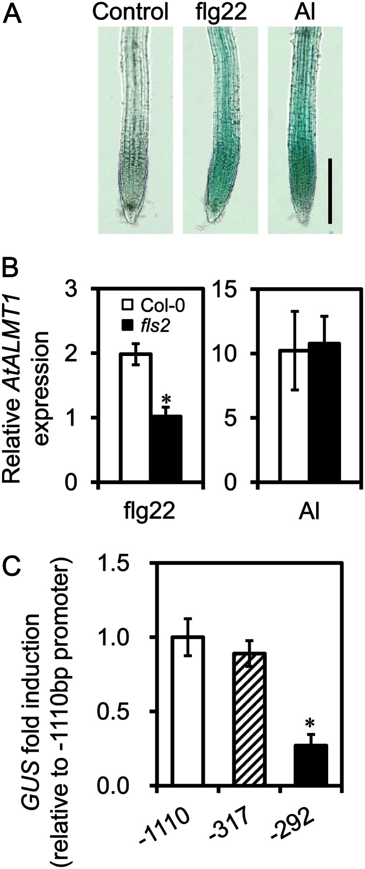 Figure 5.