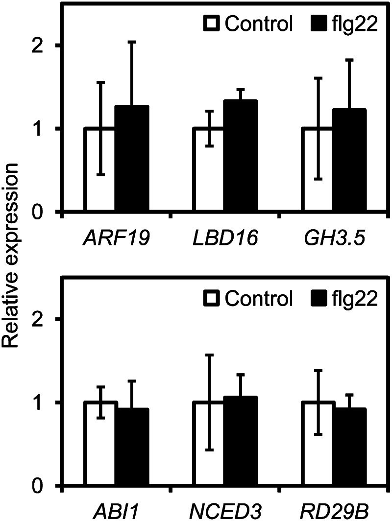 Figure 6.