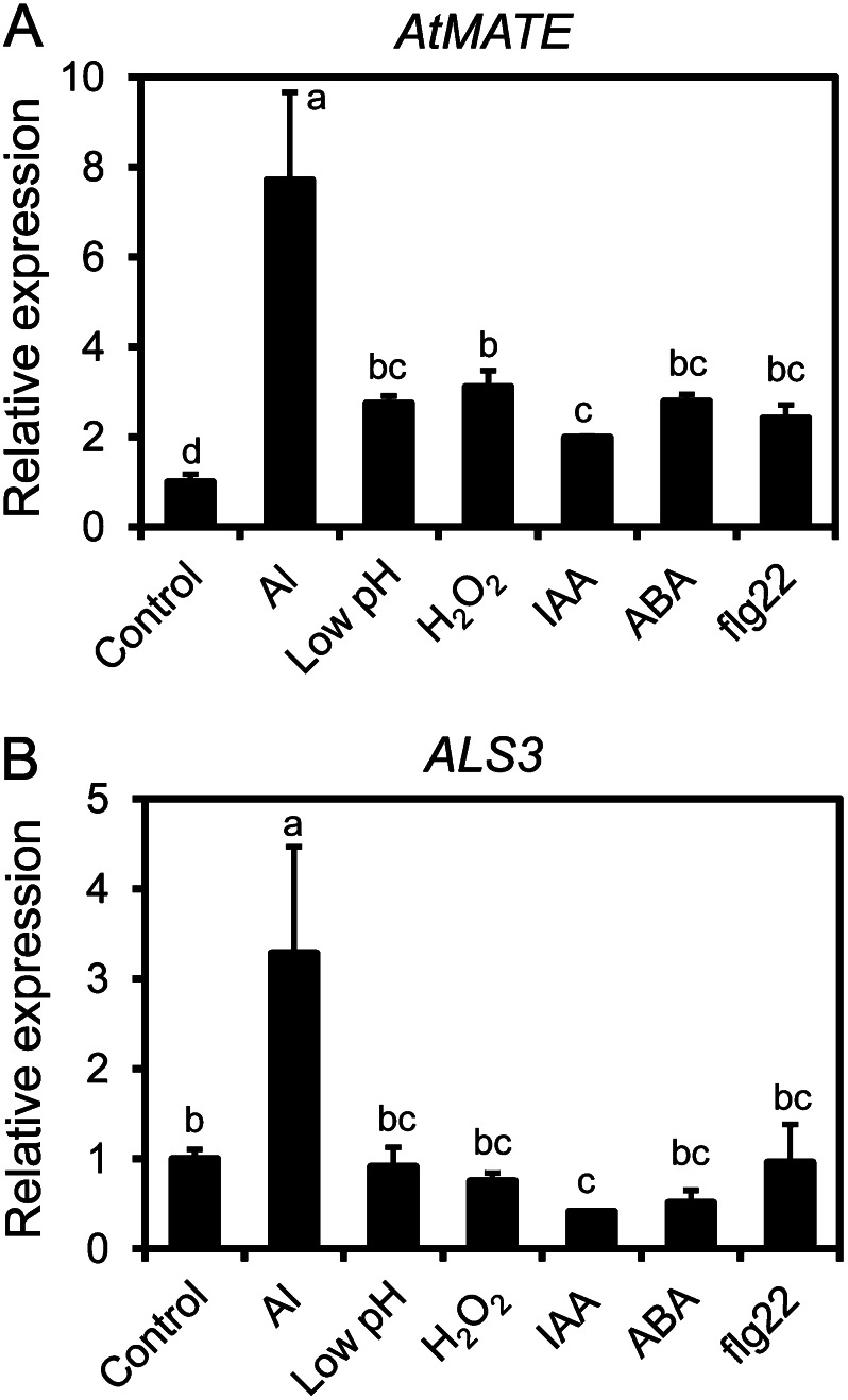 Figure 7.