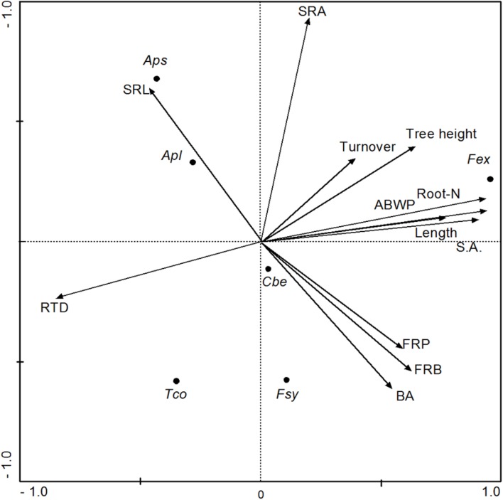 FIGURE 5