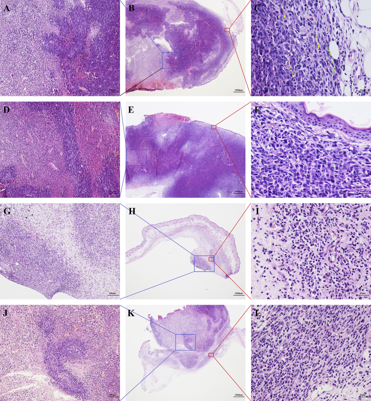 Figure 5