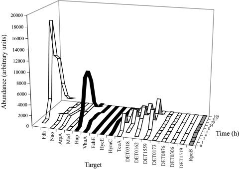 FIG. 1.